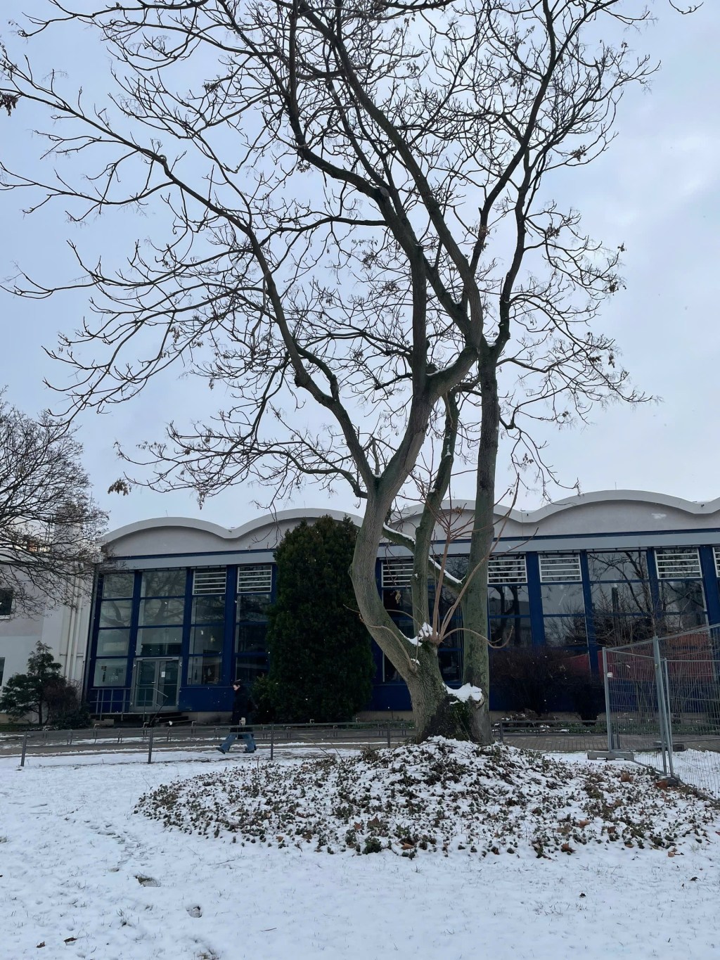 Kiếp người mong&nbsp;manh